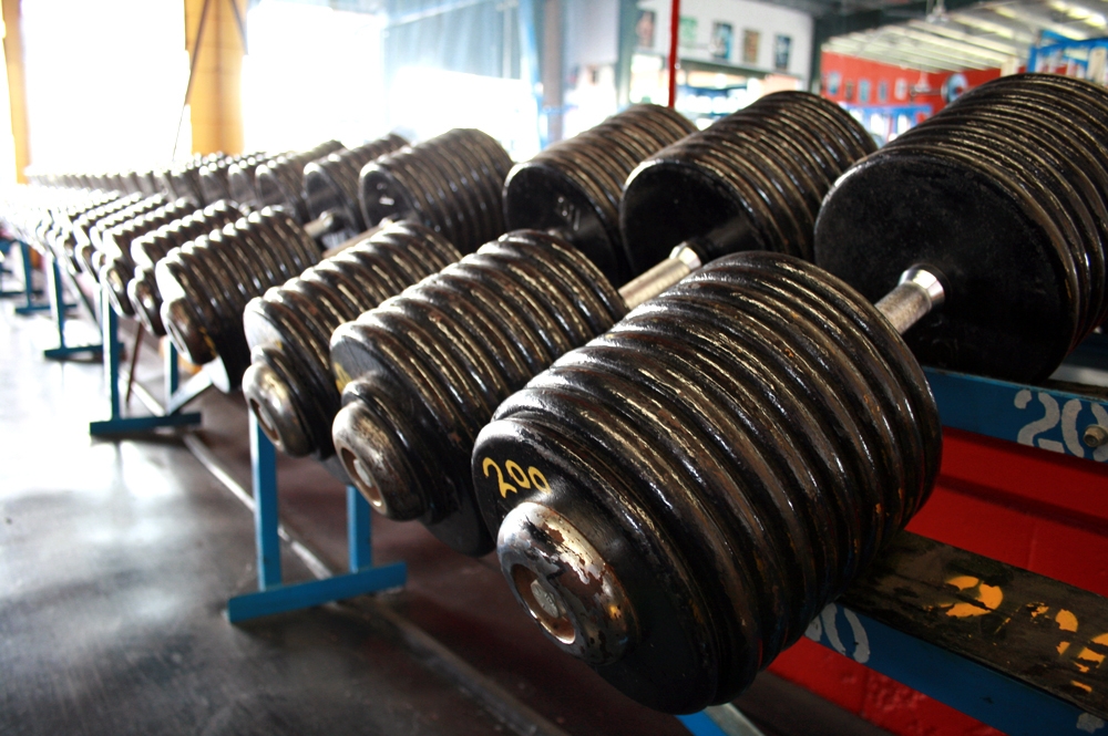 Rack of heavy dumbbells weighing up to 200 pounds